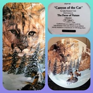 Canyon of the Cat